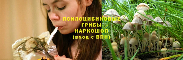 соль ск Алексеевка