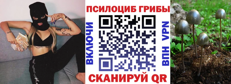 наркота площадка какой сайт Галлюциногенные грибы MAGIC MUSHROOMS Бутурлиновка